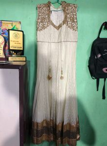 Elegant Ethnic Gown