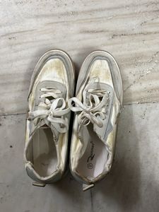 Good Condition.