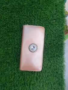 Pink And Clucth Bag