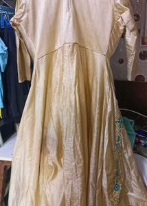 Elegant Ethnic Gown