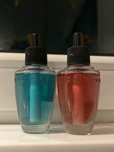 Combo Of 2 Wallflowers