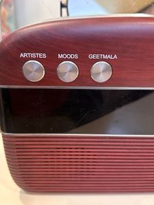 Saregama Carvaan Hindi - Portable Music Player wit