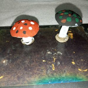 Mashroom Showpeace.