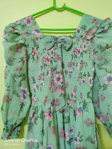 Light Green Color Knee Length Dress