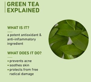 Plum Green Tea Alcohol-Free Toner X 2