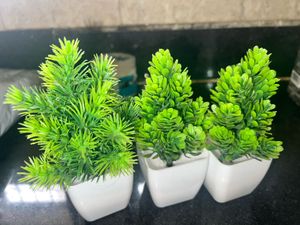 Miniature Artificial Plants (Set of 3)