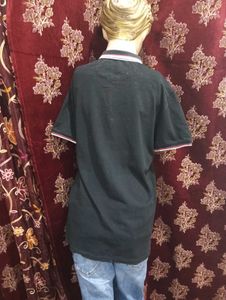 U.S. POLO ASSN. Men Cotton T-Shirt