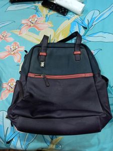 Baggit Handbag With Hidden Pocket For Bottle