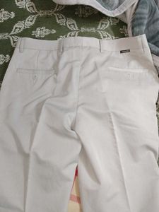 Striped Dress Pants