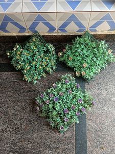 3 Set Showcase And Wall Decor Flower Plants