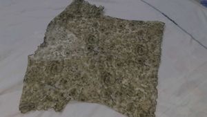 Sale !! Mesh Top