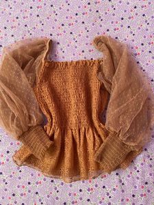 Sheer Sleeve Top