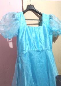 Organza Long Flaired Frock