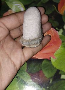 Lord Shiva natural Shivling
