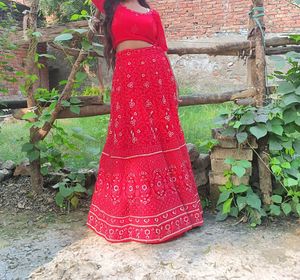 Red Embroidered Lehenga Choli