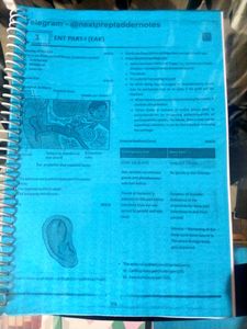 ✨New💙 Prepladder ENT RR-5.0 fmge Notes 🤍