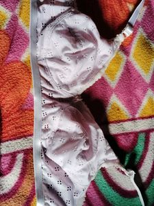 Used Bra, Panty