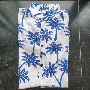 Zara Shirt