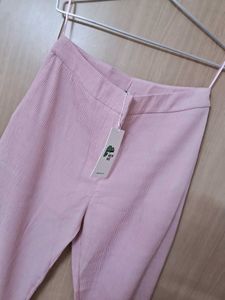 Pink Solid Bootcut Trouser
