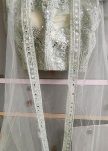 New Party Wear Pista Colour Indo Western Lehnga