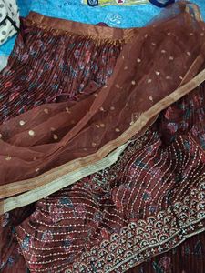 Tan Brown Aesthetic Lehenga