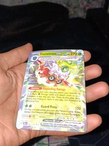 Pokemon Card Collection