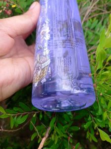 Nykaa Wanderlust Body Mist