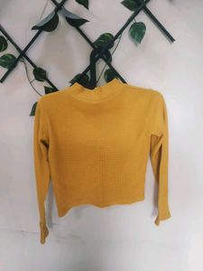 Mustard Yellow Korean Style Swetshirt/Crop Top