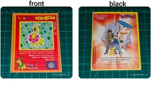 Alpenliebe Pokemon Chase Cards (Big Size)