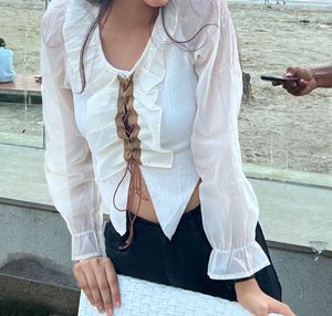 Sheer Sleeve Crop Top