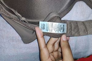 Seamless Tshirt Bra Padded
