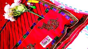 Bridle Saree
