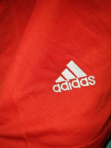 FC Bayern 24/25 Home Shorts Adidas