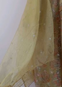 Beautiful Organza Pakistani Suit👗