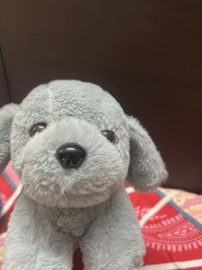 Cute Plush Puppy