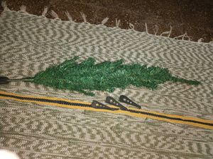 Christmas tree and decoration