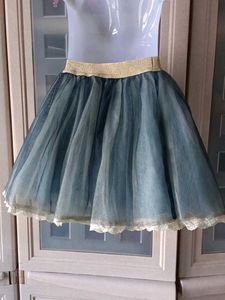 Tulle Skirt