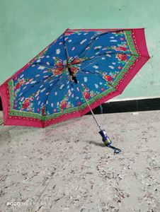 Umbrella