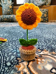Chrocheted Flower Pot