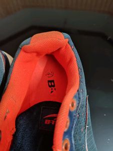 Blue and Orange Combination Sheo