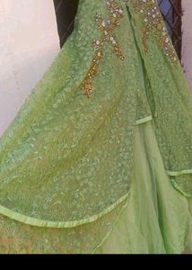 Elegant Green Ethnic Gown