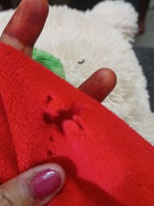 Holiday Teddy Bear
