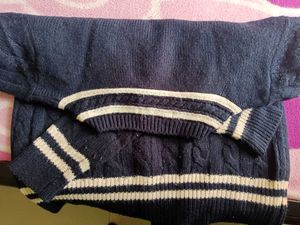 Striped Navy Blue Sweater