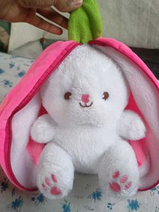 Soft Toy