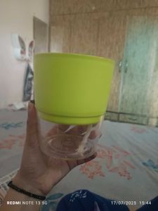 Self Water Plant Pot