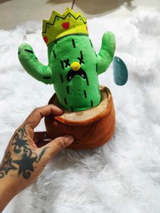 Imported Cactus🌵 Softtoy plushies