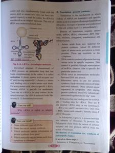 12th Biology Textbook ( MH-BOARD)