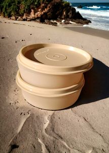 Tupperware Executive Lunch Set