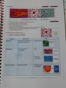 Microbiology Notes by Dr. Preeti Mann