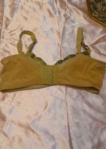 Elegant Embroidered Bra